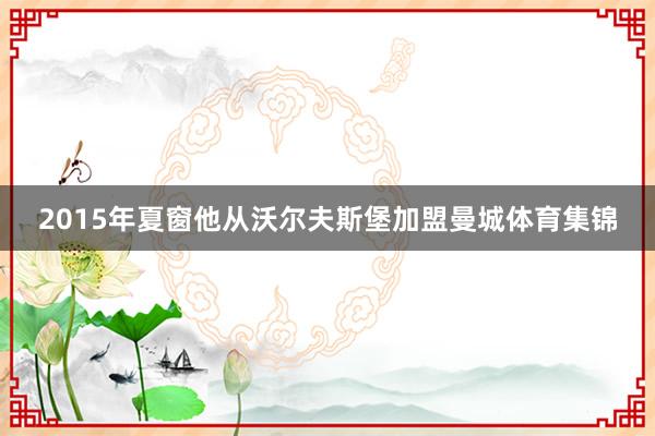 2015年夏窗他从沃尔夫斯堡加盟曼城体育集锦