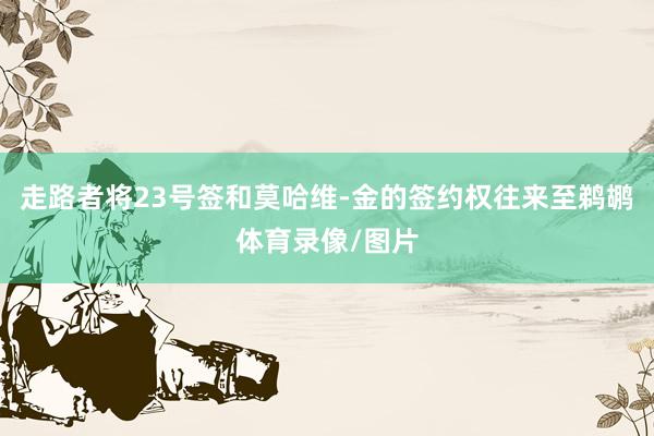 走路者将23号签和莫哈维-金的签约权往来至鹈鹕体育录像/图片
