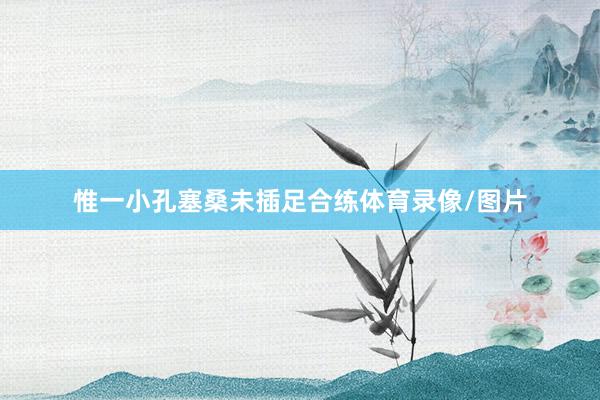 惟一小孔塞桑未插足合练体育录像/图片