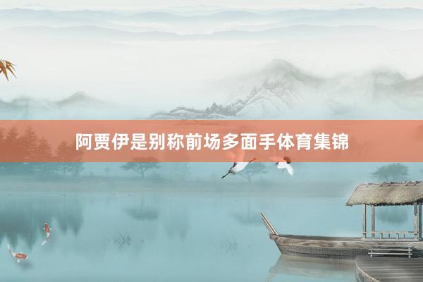 阿贾伊是别称前场多面手体育集锦