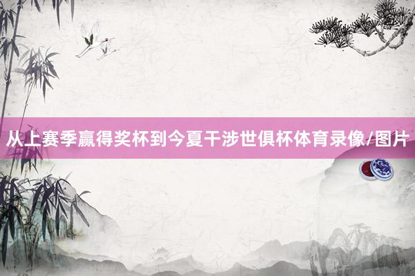 从上赛季赢得奖杯到今夏干涉世俱杯体育录像/图片