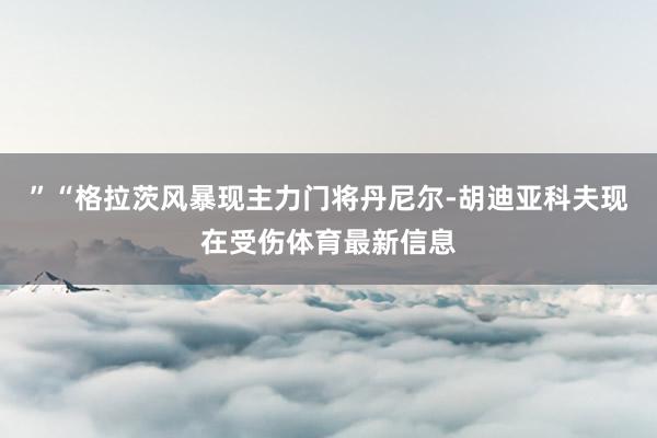 ”“格拉茨风暴现主力门将丹尼尔-胡迪亚科夫现在受伤体育最新信息