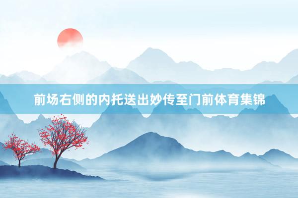 前场右侧的内托送出妙传至门前体育集锦