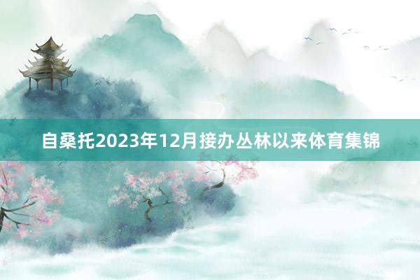 自桑托2023年12月接办丛林以来体育集锦
