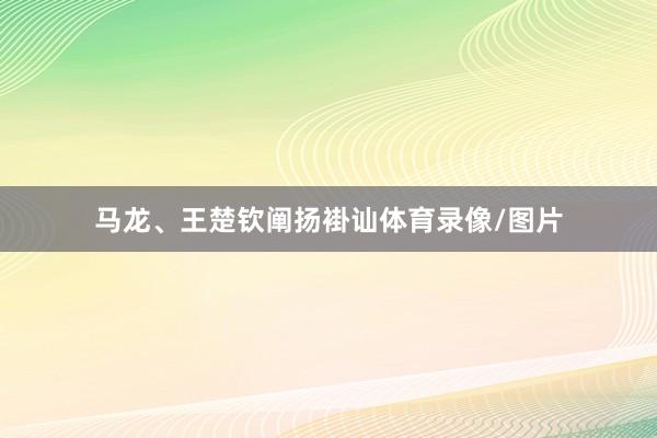 马龙、王楚钦阐扬褂讪体育录像/图片