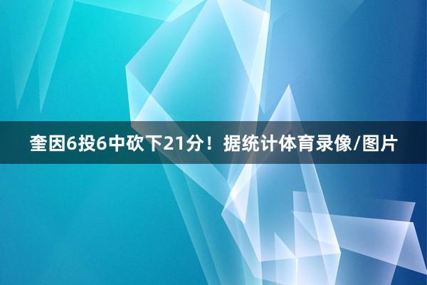 奎因6投6中砍下21分！据统计体育录像/图片