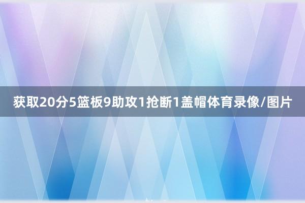 获取20分5篮板9助攻1抢断1盖帽体育录像/图片