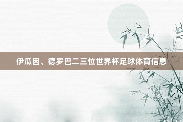 伊瓜因、德罗巴二三位世界杯足球体育信息