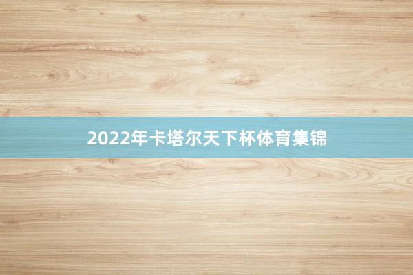 2022年卡塔尔天下杯体育集锦