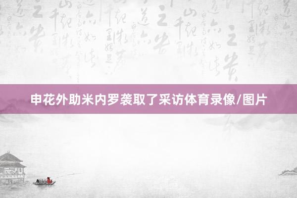 申花外助米内罗袭取了采访体育录像/图片