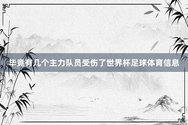 毕竟有几个主力队员受伤了世界杯足球体育信息