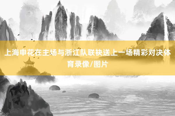 上海申花在主场与浙江队联袂送上一场精彩对决体育录像/图片