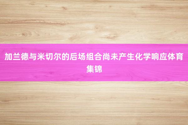 加兰德与米切尔的后场组合尚未产生化学响应体育集锦