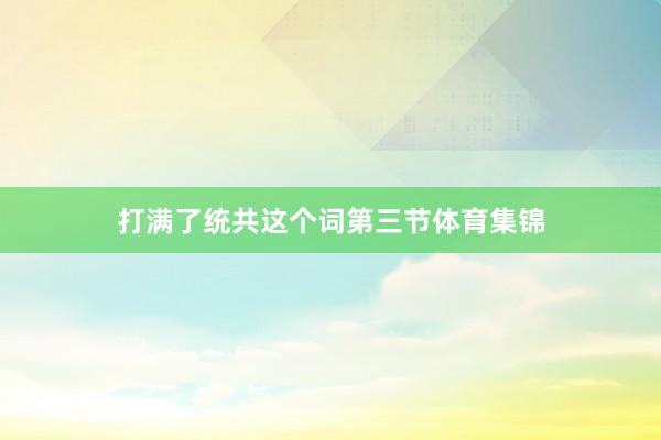 打满了统共这个词第三节体育集锦