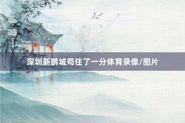 深圳新鹏城苟住了一分体育录像/图片