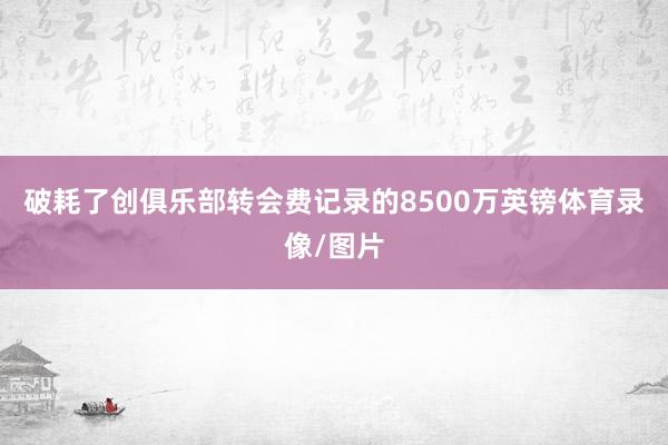 破耗了创俱乐部转会费记录的8500万英镑体育录像/图片