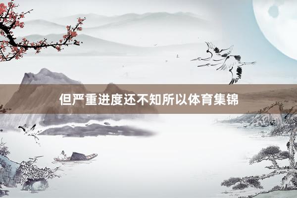 但严重进度还不知所以体育集锦