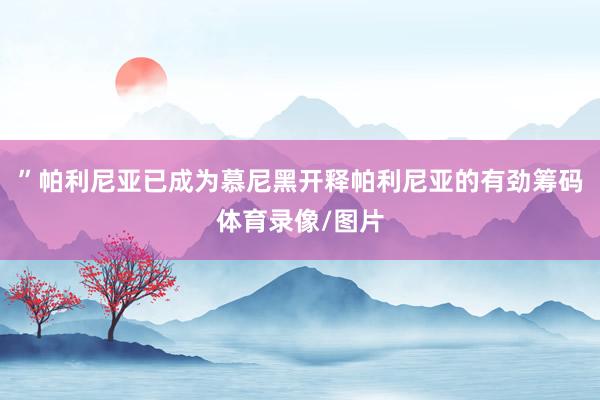 ”帕利尼亚已成为慕尼黑开释帕利尼亚的有劲筹码体育录像/图片