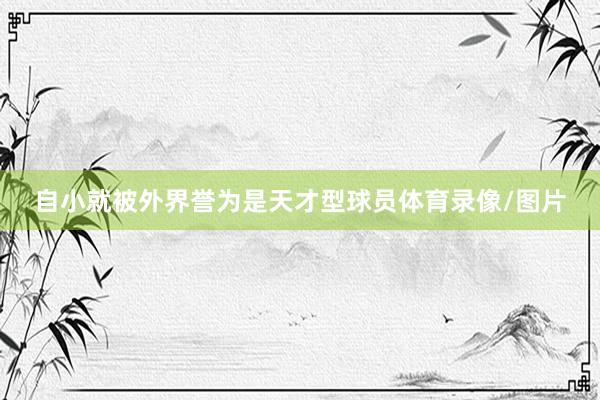 自小就被外界誉为是天才型球员体育录像/图片