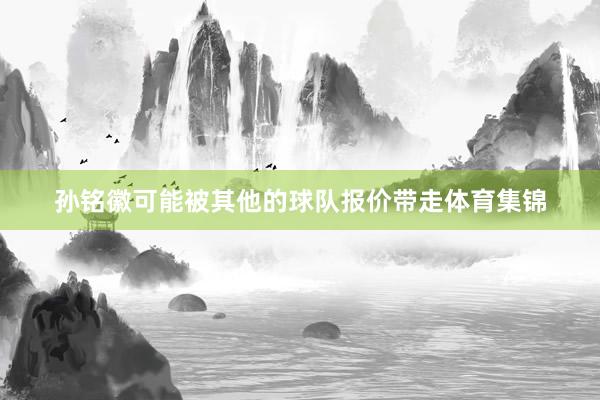 孙铭徽可能被其他的球队报价带走体育集锦