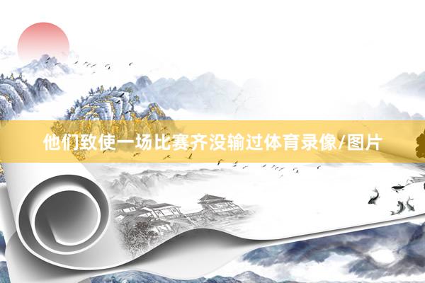 他们致使一场比赛齐没输过体育录像/图片