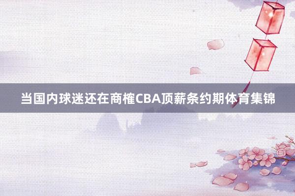 当国内球迷还在商榷CBA顶薪条约期体育集锦