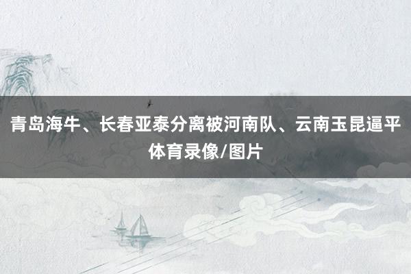 青岛海牛、长春亚泰分离被河南队、云南玉昆逼平体育录像/图片