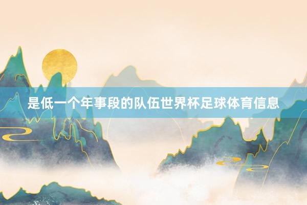 是低一个年事段的队伍世界杯足球体育信息