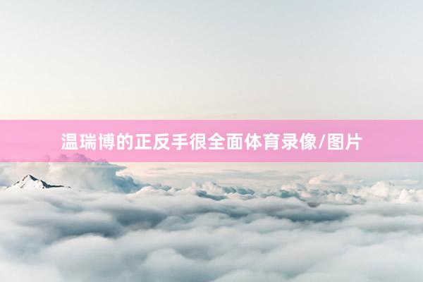 温瑞博的正反手很全面体育录像/图片