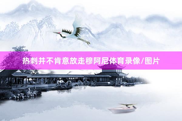 热刺并不肯意放走穆阿尼体育录像/图片