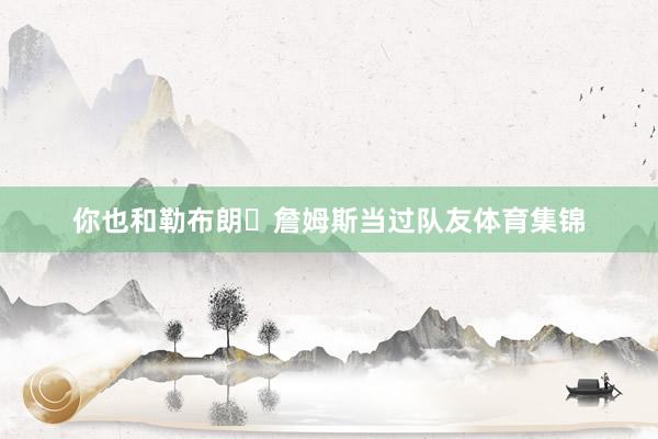 你也和勒布朗・詹姆斯当过队友体育集锦
