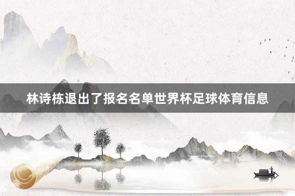 林诗栋退出了报名名单世界杯足球体育信息