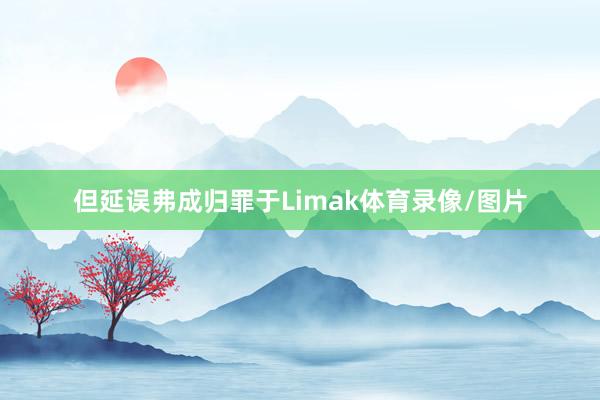 但延误弗成归罪于Limak体育录像/图片