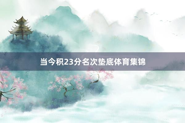 当今积23分名次垫底体育集锦