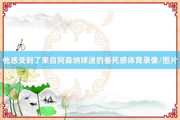 他感受到了来自阿森纳球迷的垂死感体育录像/图片