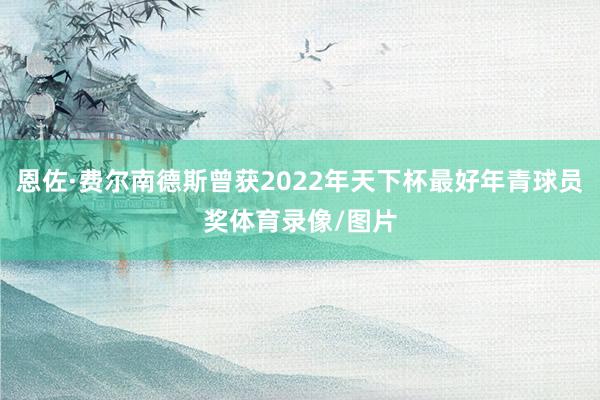 恩佐·费尔南德斯曾获2022年天下杯最好年青球员奖体育录像/图片