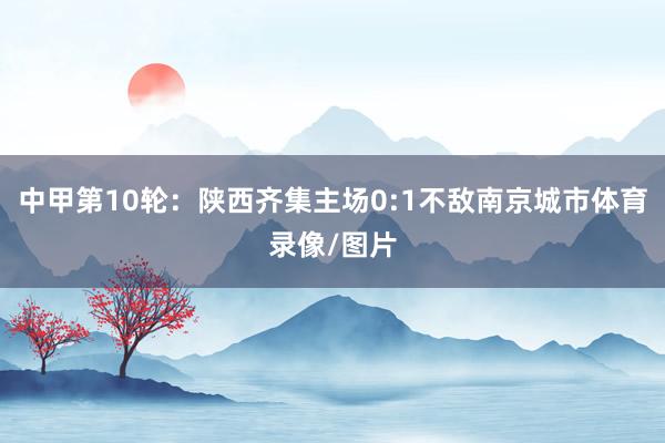 中甲第10轮：陕西齐集主场0:1不敌南京城市体育录像/图片